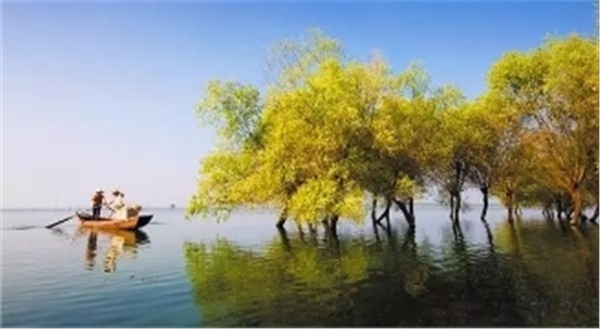 春暖花開南洞庭踏青、云夢(mèng)七色花洲一日游  