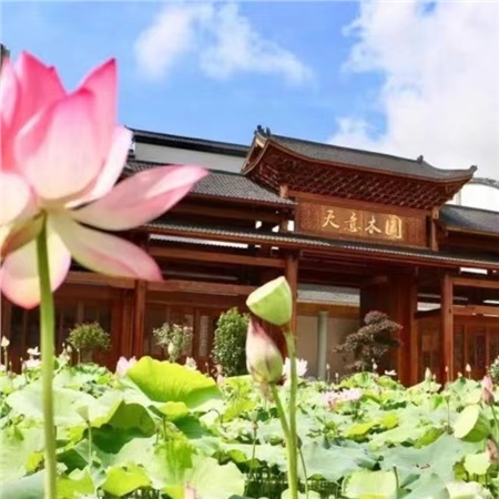 益陽(yáng)天意木國(guó)木文化博物館、金家堤、一碑五館一日游