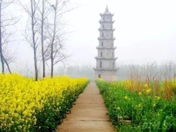 春暖花開南洞庭踏青、云夢(mèng)七色花洲一日游  