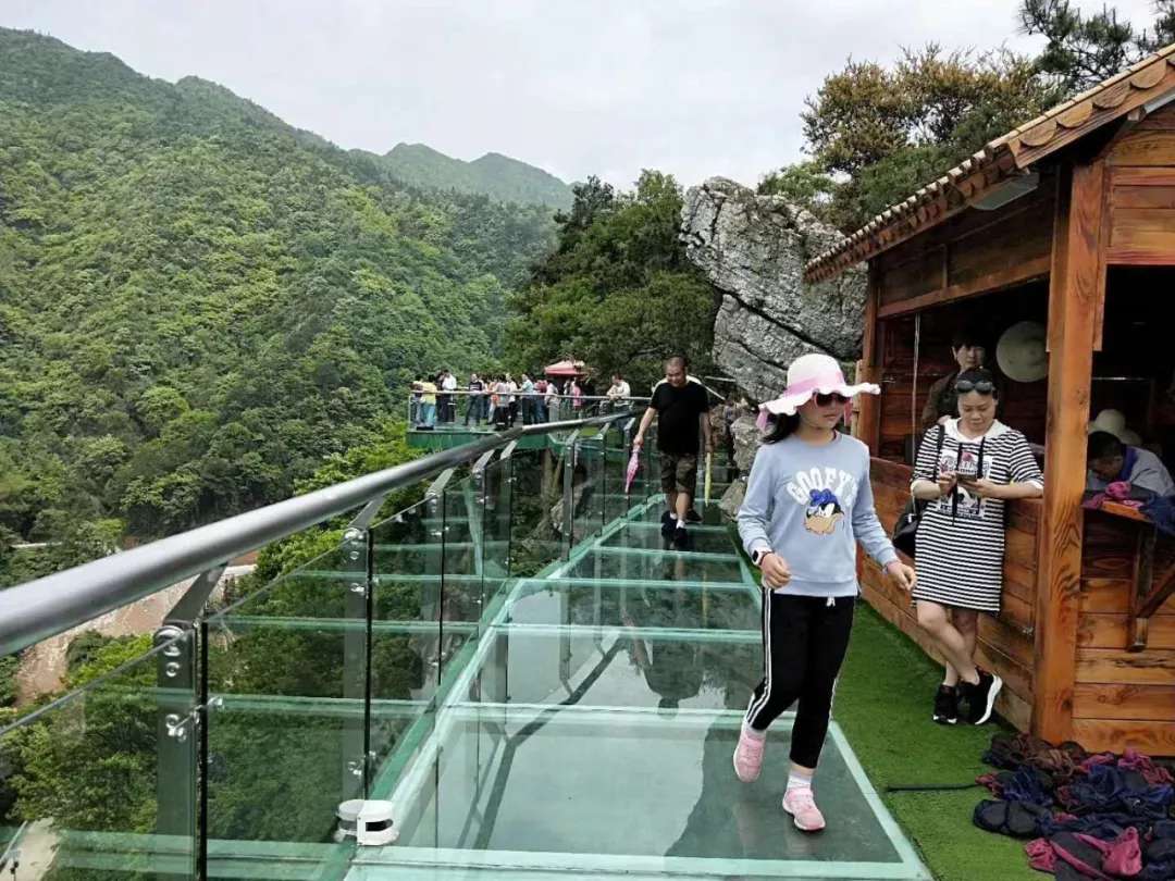 益陽安化?天下茶道、云臺山、茶香花海2日游