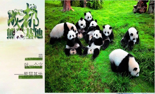長(zhǎng)沙、成都雙飛6天