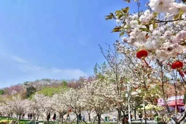 長沙潯龍河櫻花谷、田漢文化園一日游