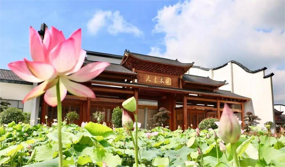 清溪村、天意木國景區(qū)、明清古巷、市博物館、胡林翼故居二日游